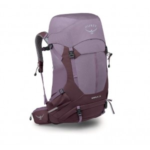 Osprey Sirrus 36 W