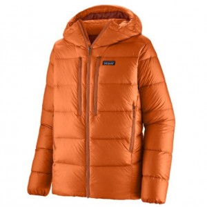 Patagonia Fitz Roy Down Hoody