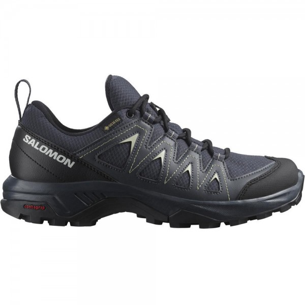 Salomon X Braze Gtx W