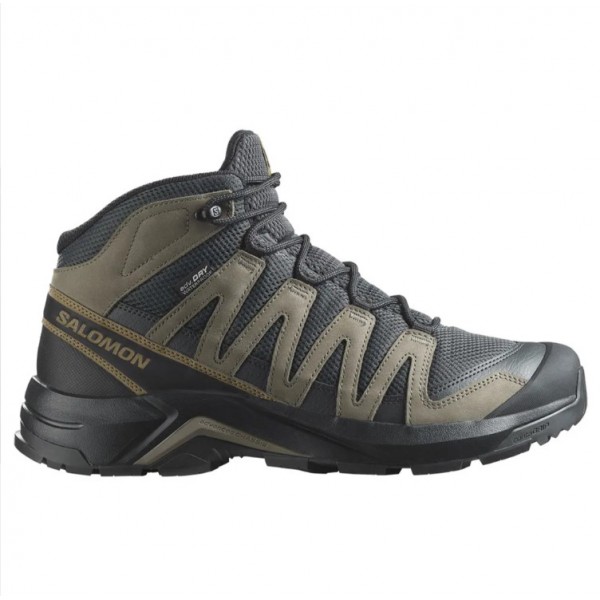 Salomon X Adventure Recon Mid GTX