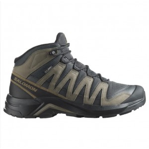 Salomon X Adventure Recon Mid GTX