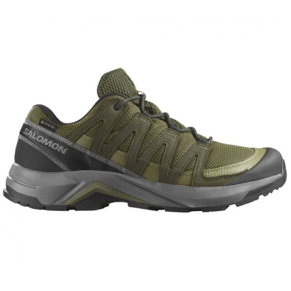 Salomon X Adventure Recon GTX