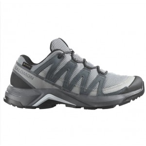 Salomon X Adventure Recon GTX W