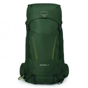 Osprey Kestrel 38