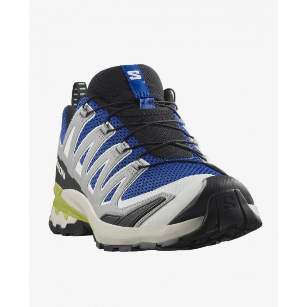 Salomon Xa Pro 3D V9