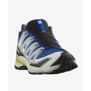 Salomon Xa Pro 3D V9