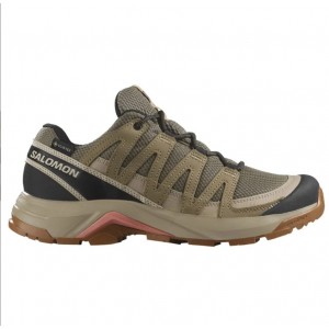 Salomon X Adventure Recon GTX W
