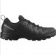 Salomon X Braze Gtx