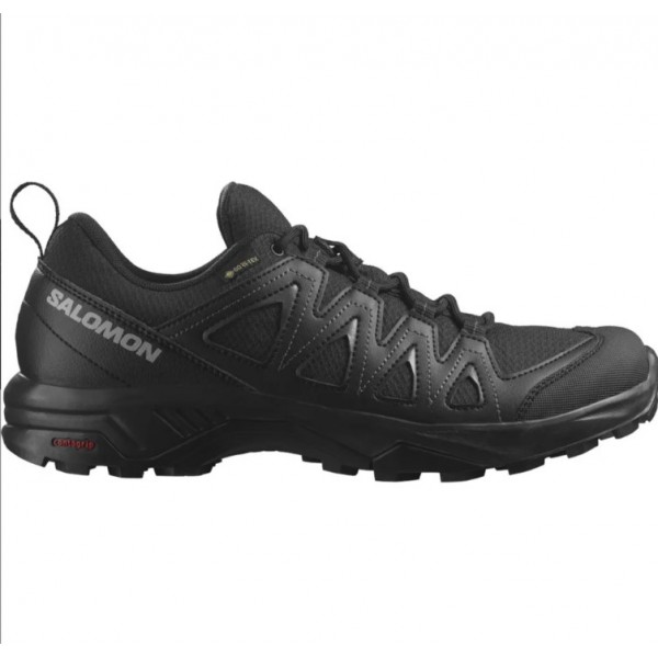 Salomon X Braze Gtx