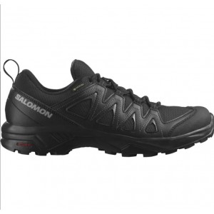 Salomon X Braze Gtx