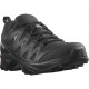 Salomon X Braze Gtx