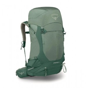 Osprey Stratos 44