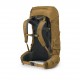 Osprey Rook 65