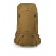 Osprey Rook 65